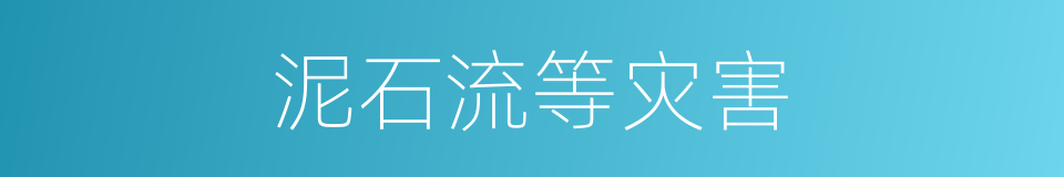 泥石流等灾害的同义词