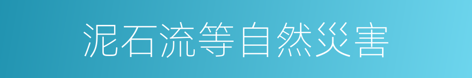 泥石流等自然災害的同義詞