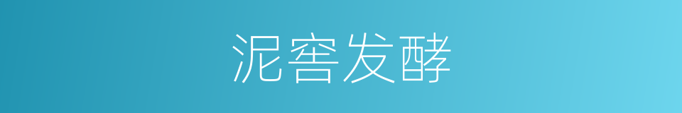 泥窖发酵的同义词