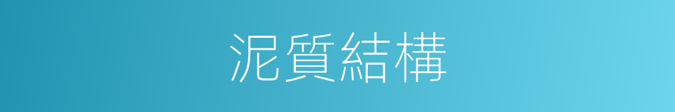 泥質結構的同義詞