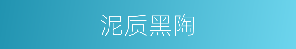 泥质黑陶的同义词