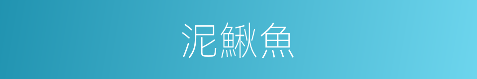 泥鰍魚的同義詞