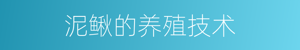 泥鳅的养殖技术的同义词