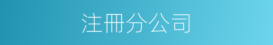 注冊分公司的同義詞