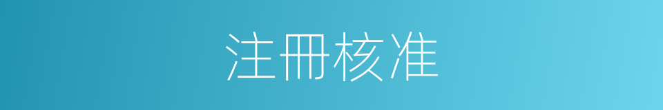 注冊核准的同義詞