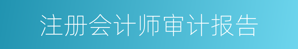 注册会计师审计报告的同义词