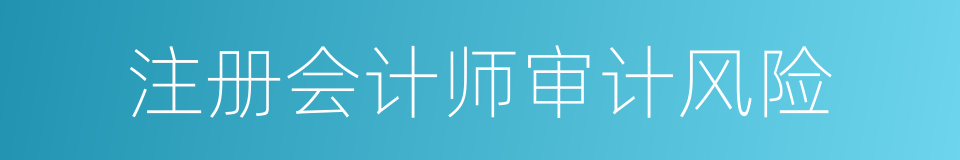 注册会计师审计风险的同义词