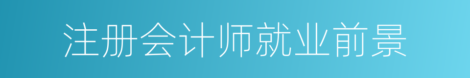 注册会计师就业前景的同义词
