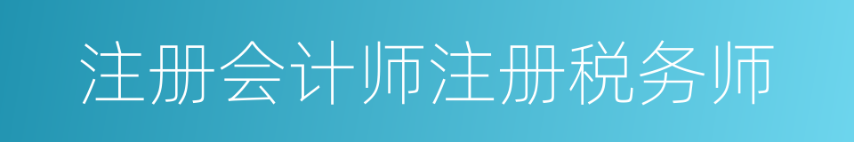 注册会计师注册税务师的同义词