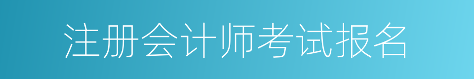 注册会计师考试报名的同义词