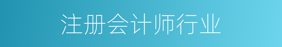 注册会计师行业的同义词