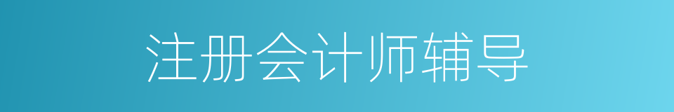 注册会计师辅导的同义词