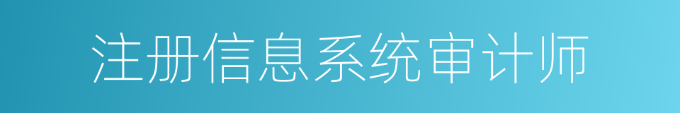 注册信息系统审计师的同义词