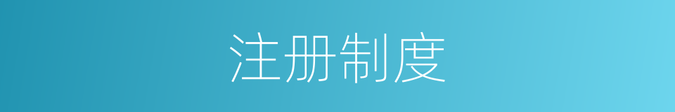 注册制度的同义词