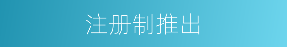 注册制推出的同义词