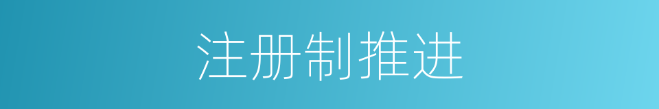 注册制推进的同义词