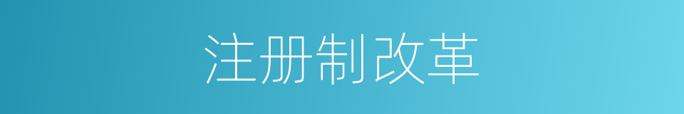 注册制改革的同义词