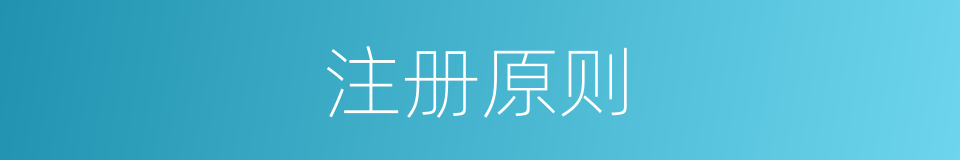注册原则的同义词