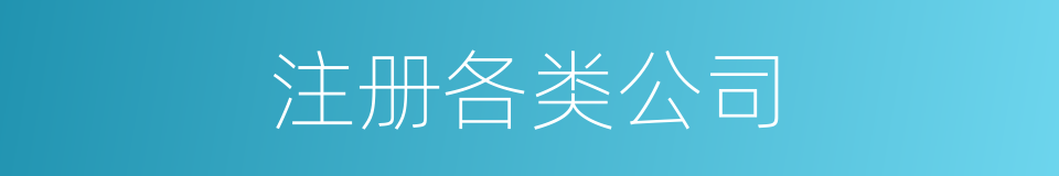 注册各类公司的同义词