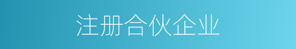 注册合伙企业的同义词