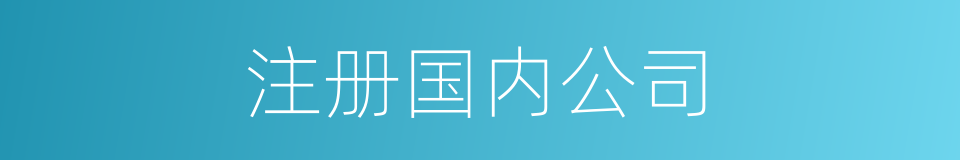注册国内公司的同义词