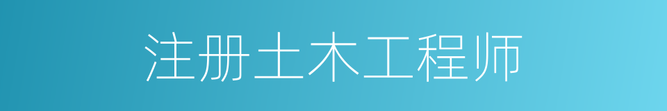 注册土木工程师的同义词