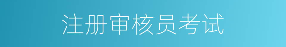 注册审核员考试的同义词