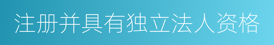 注册并具有独立法人资格的同义词