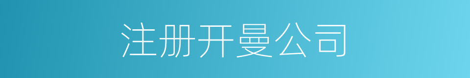 注册开曼公司的同义词