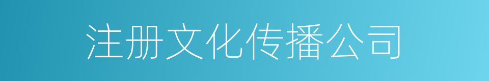注册文化传播公司的同义词