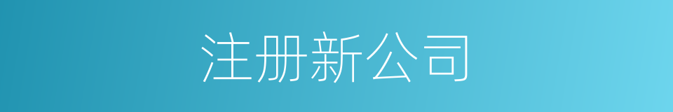 注册新公司的同义词
