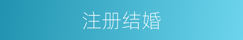 注册结婚的同义词