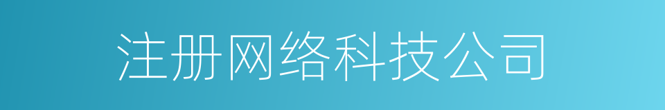 注册网络科技公司的同义词