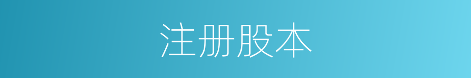 注册股本的同义词