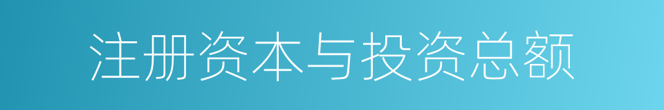 注册资本与投资总额的同义词