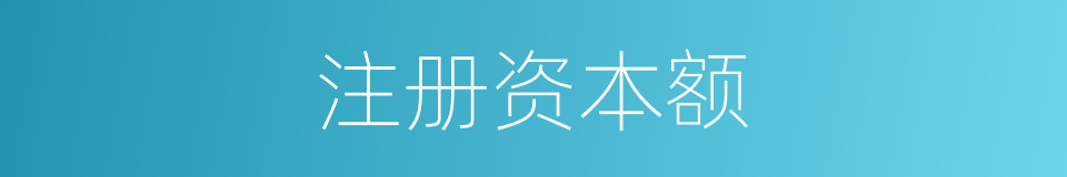 注册资本额的同义词