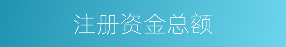 注册资金总额的同义词