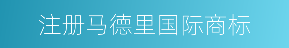 注册马德里国际商标的同义词