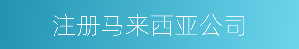 注册马来西亚公司的同义词
