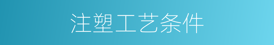 注塑工艺条件的同义词