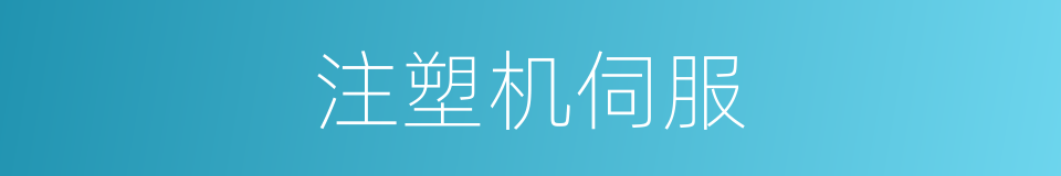 注塑机伺服的同义词