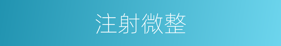 注射微整的同义词