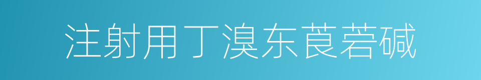 注射用丁溴东莨菪碱的同义词