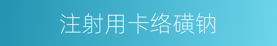 注射用卡络磺钠的同义词