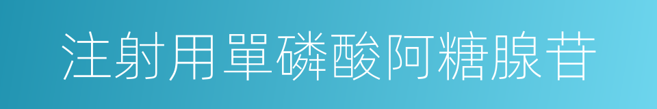 注射用單磷酸阿糖腺苷的同義詞