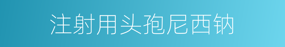 注射用头孢尼西钠的同义词