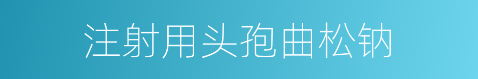 注射用头孢曲松钠的同义词