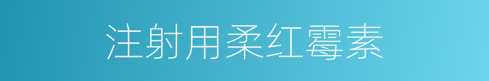 注射用柔红霉素的同义词
