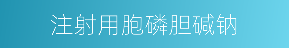 注射用胞磷胆碱钠的同义词