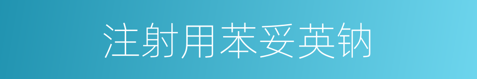 注射用苯妥英钠的同义词